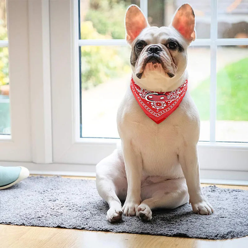 Pet Bandanas For Dogs And Cats