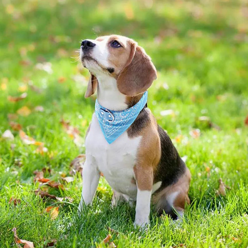 Pet Bandanas For Dogs And Cats