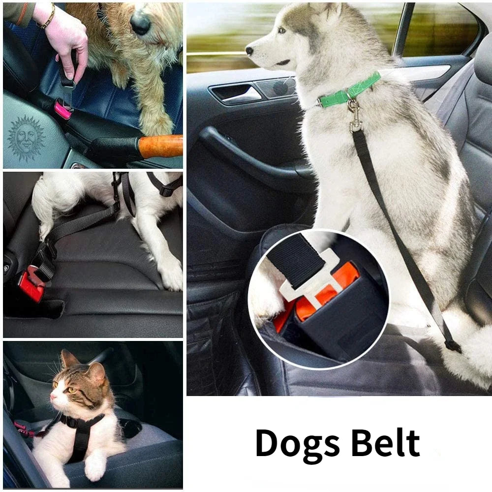 Pet Car Harness Belt