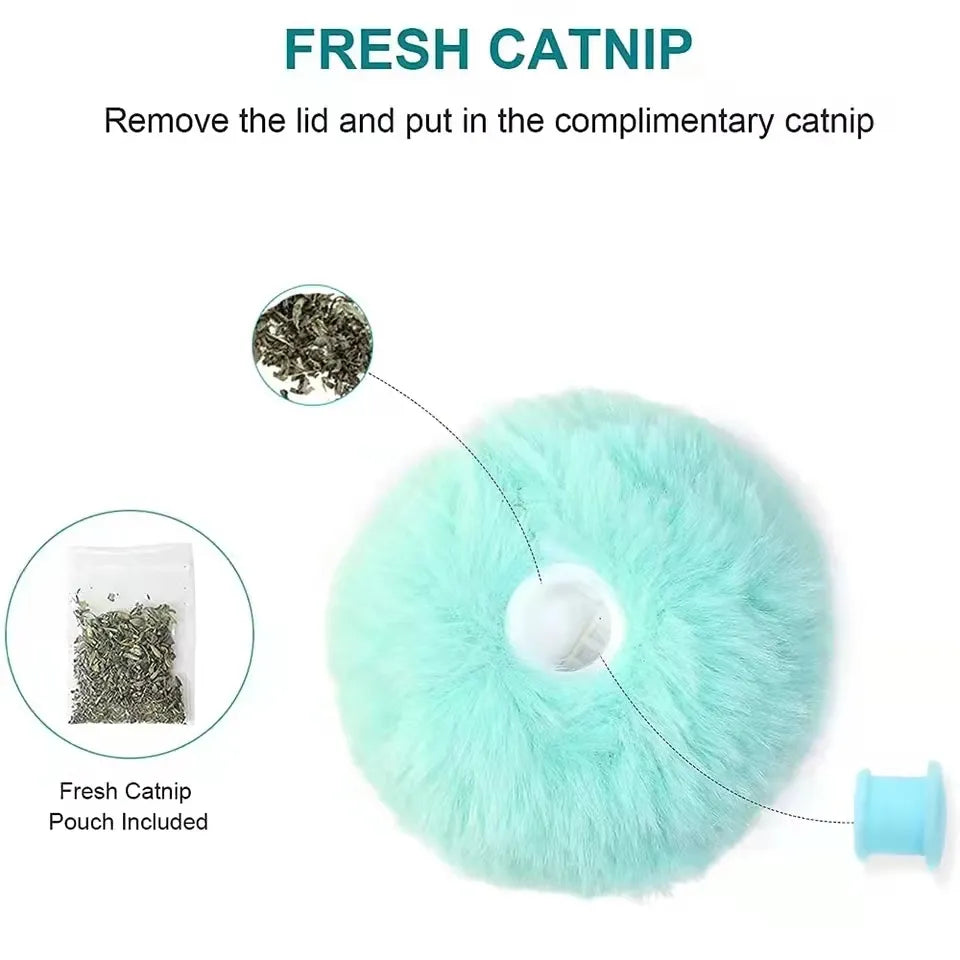 Squeaky Catnip Toy