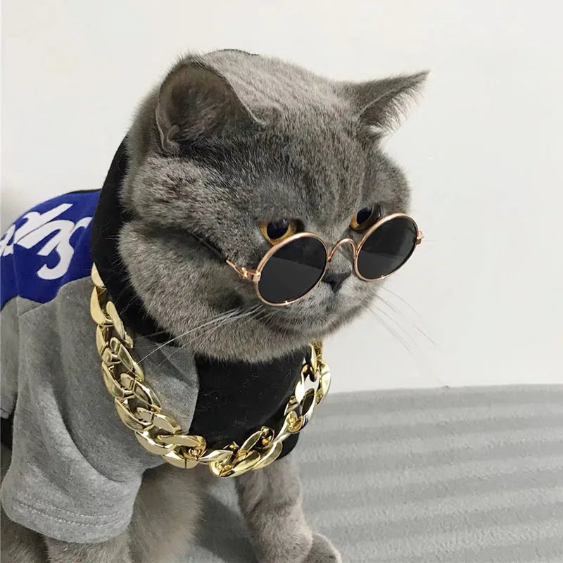 Cat Glasses