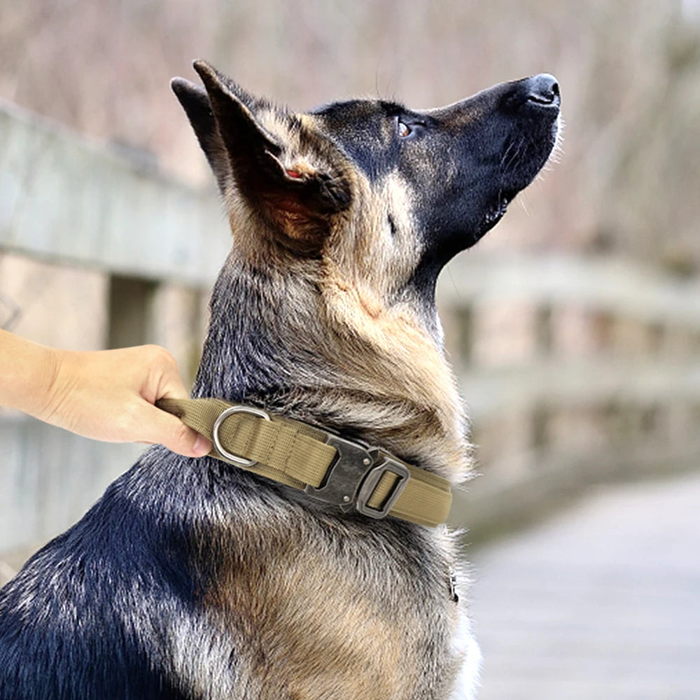 Dog Tactical Collar Harnesse