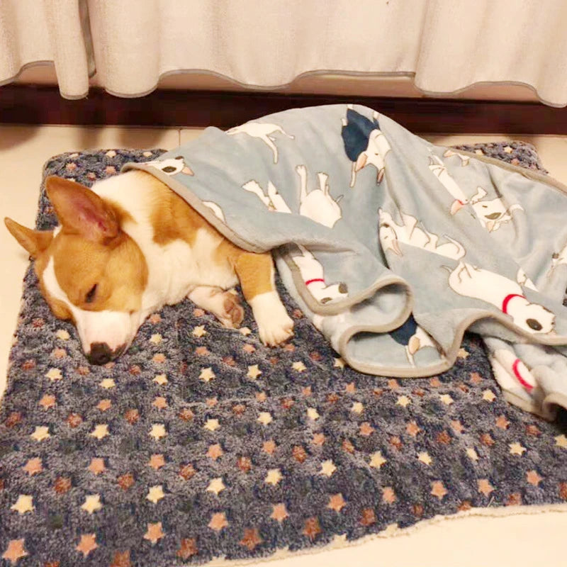 Dog Bed And Mat