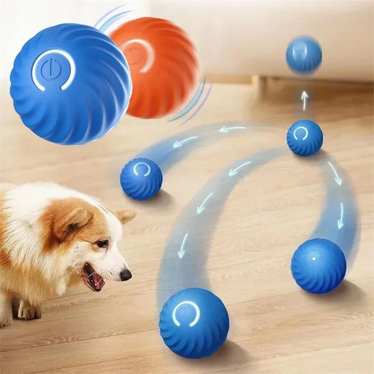 Electronic Ball Toy