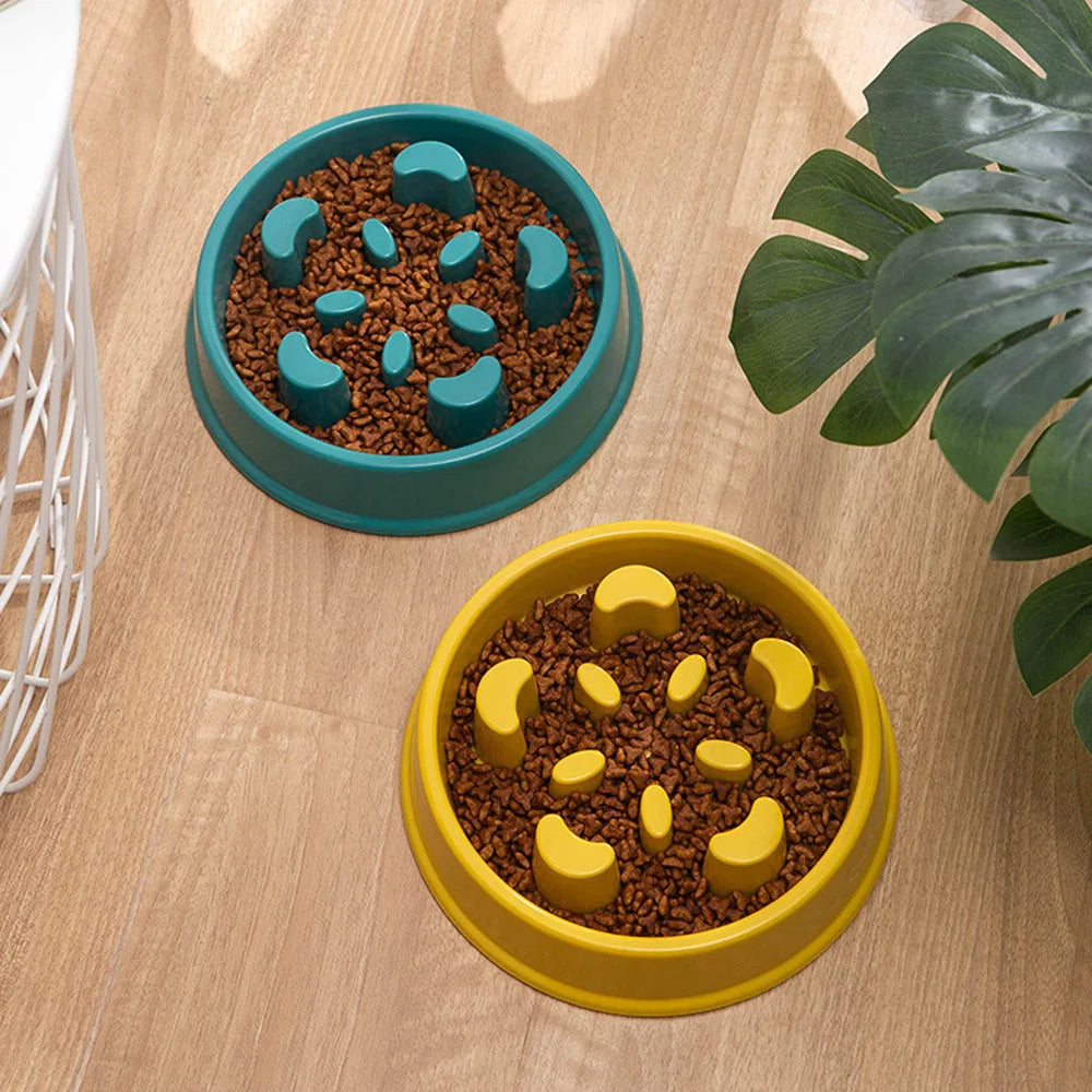 Dog Slow Feeder Bowl