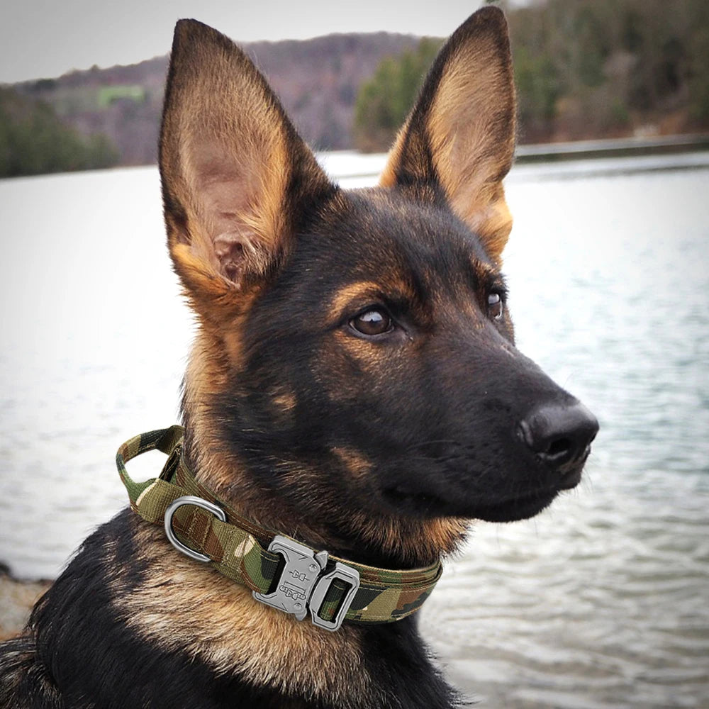 Dog Tactical Collar Harnesse