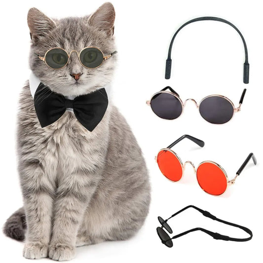 Cat Glasses