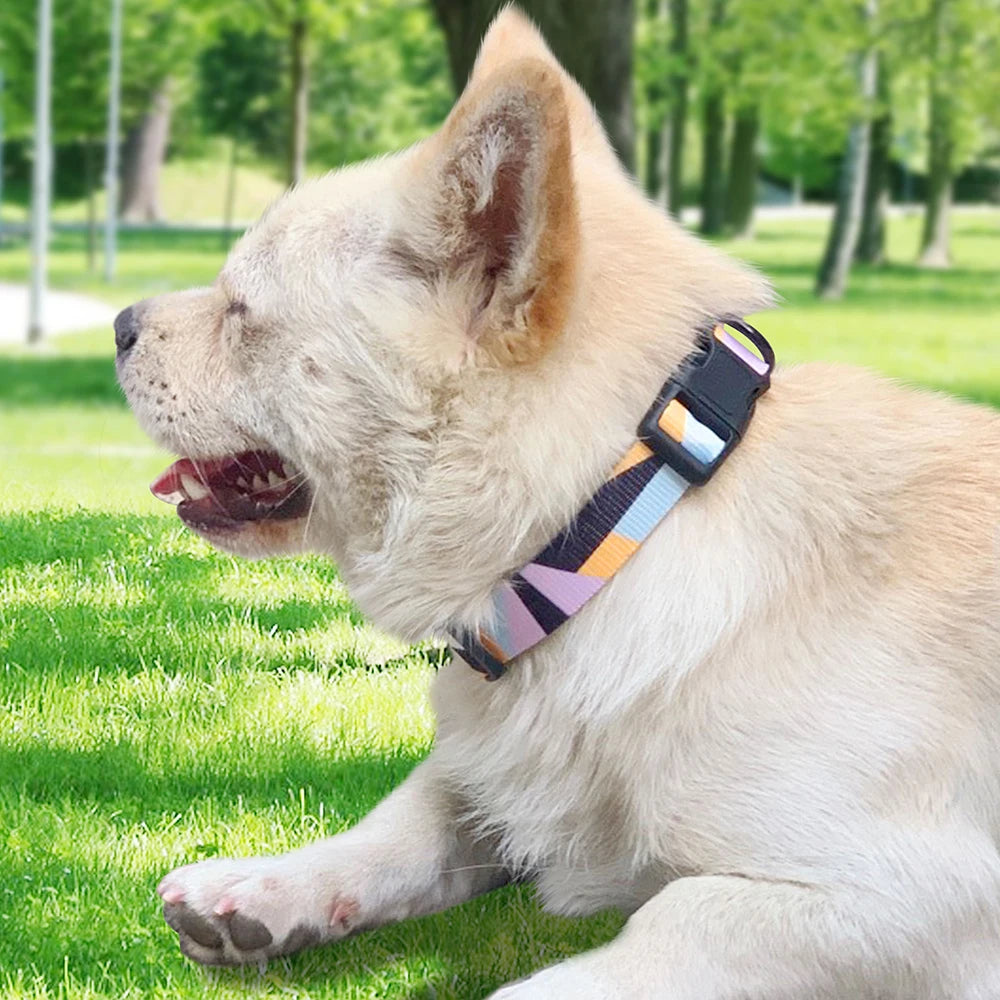 Nylon Style Floral Dog Collar