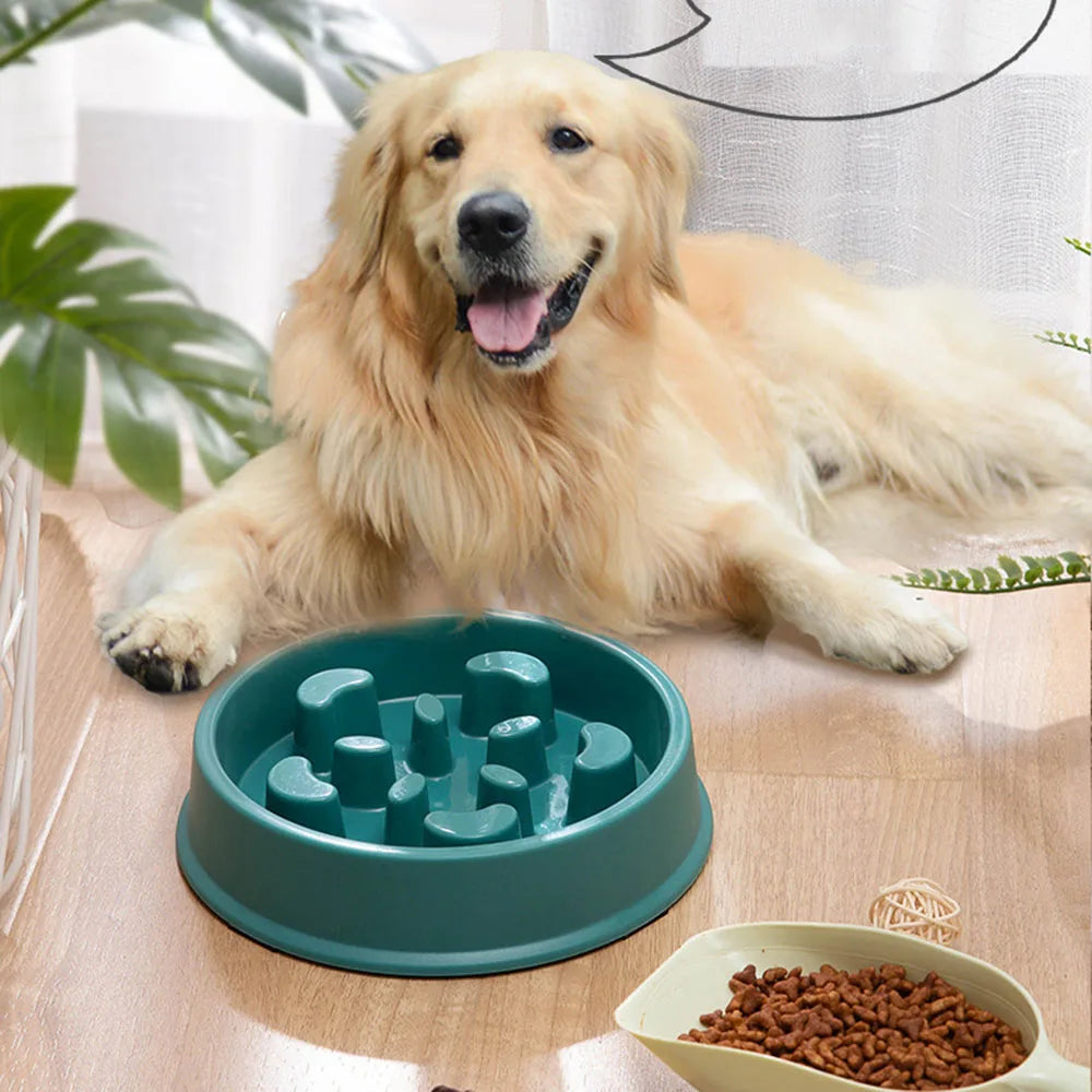 Dog Slow Feeder Bowl