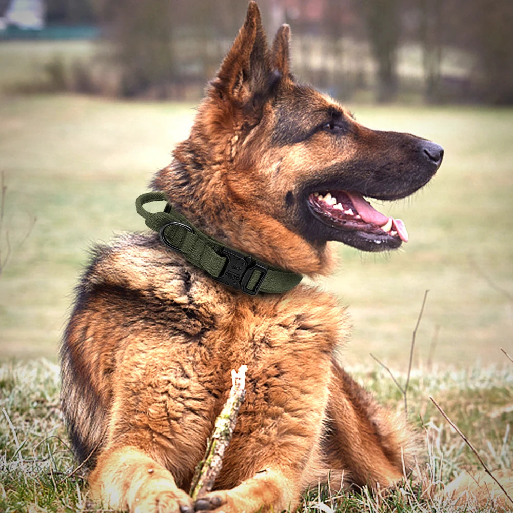 Dog Tactical Collar Harnesse